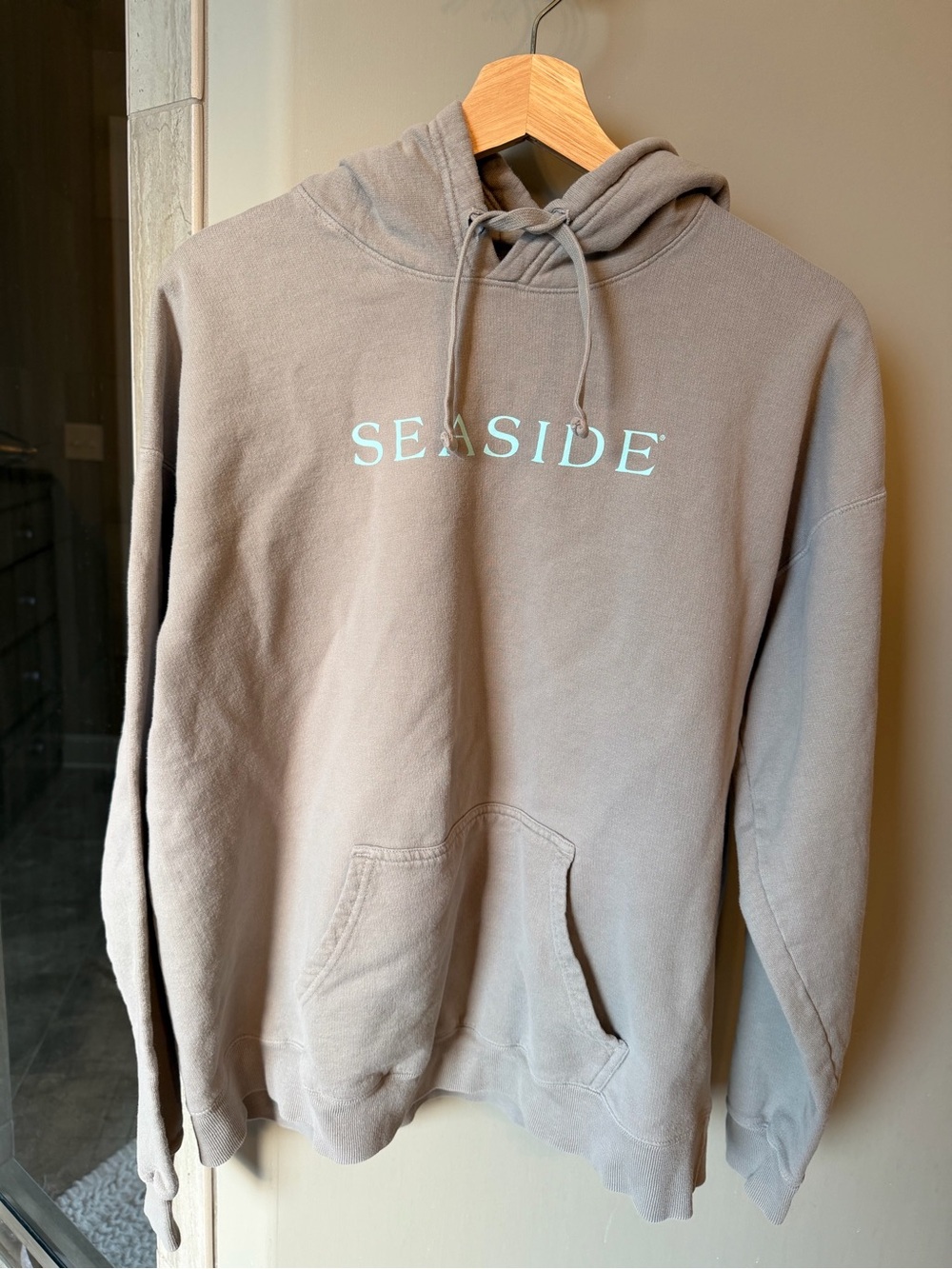 Hanes Seaside Logo Hoodie in Taupe with Pale Blue Print